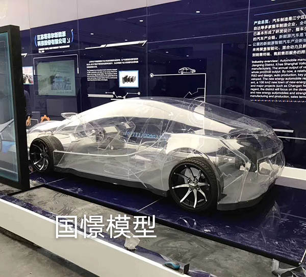 岳西县透明车模型