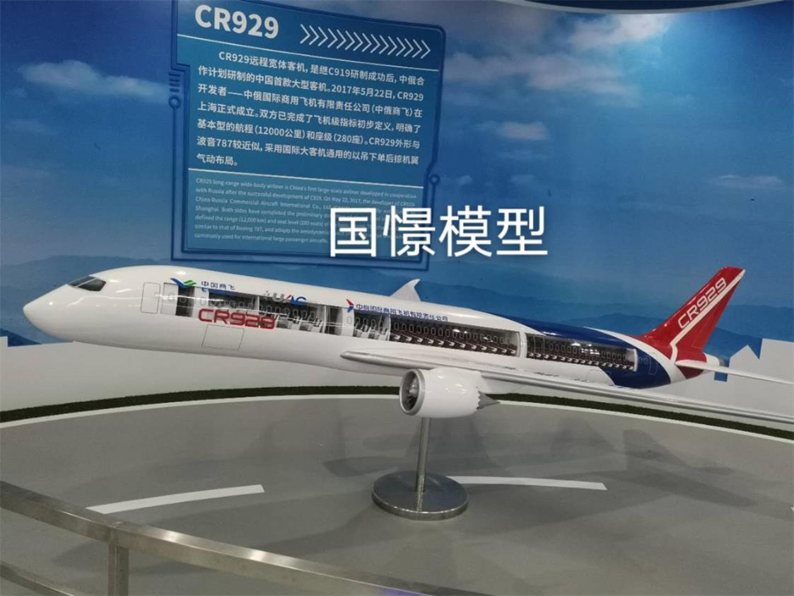 岳西县飞机模型